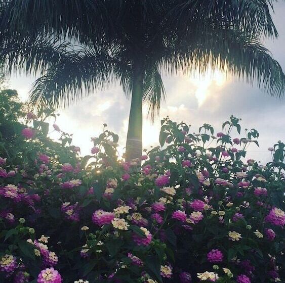 هتل روستایی Finca Agroturistica Alejandria