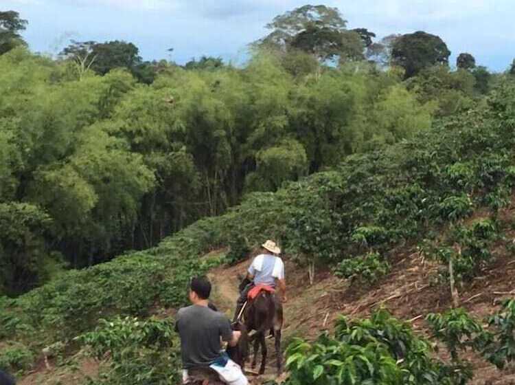 هتل روستایی Finca Agroturistica Alejandria
