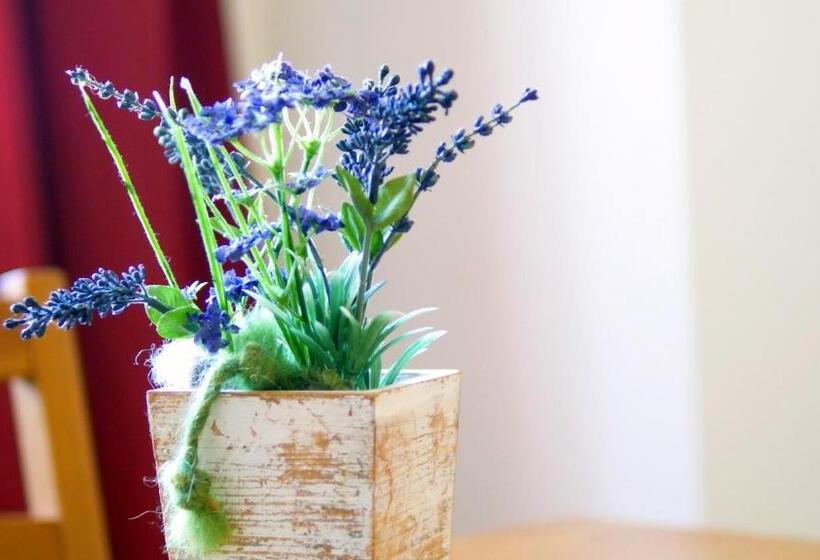 Pensió Gastehaus Am Wasserpark