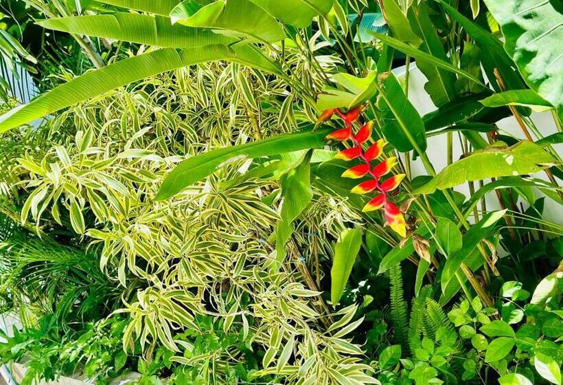 Bed and Breakfast Kuta Garden