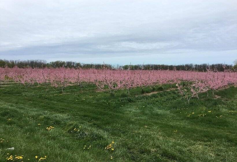 Finlay House Bed And Breakfast Niagara On The Lake