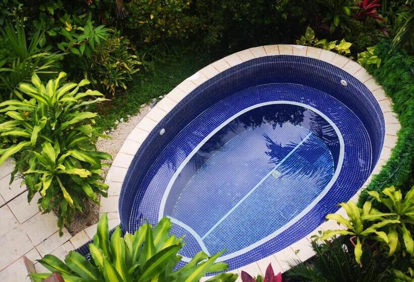 هتل Belvedere Playa Samara Costa Rica