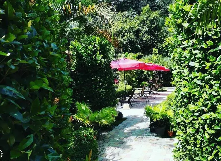 Hotelli Belvedere Playa Samara Costa Rica