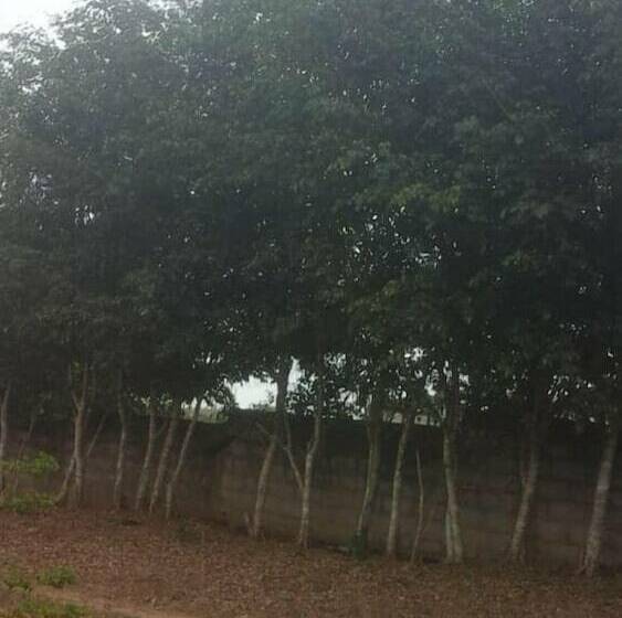 هتل Hôtel Bassame 1