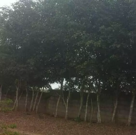 هتل Hôtel Bassame 1