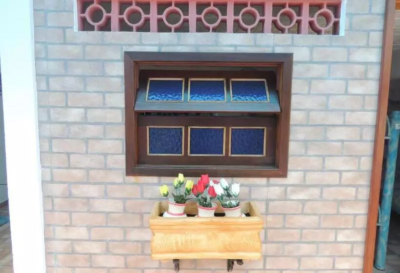 Pousada Casa Do Rio Hostel   8 Min Do Centro Hístorico   Passeio De Barco Com Saída Da Pousada  Pago