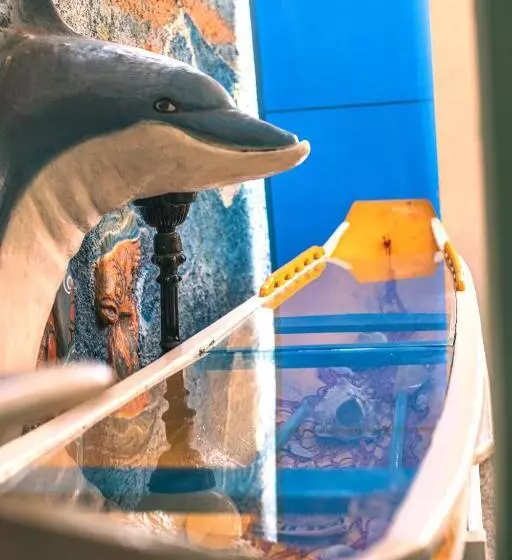 Pousada Casa Do Rio Hostel   8 Min Do Centro Hístorico   Passeio De Barco Com Saída Da Pousada  Pago