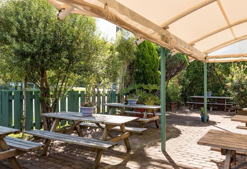 הוסטל Bay Of Islands Lodge