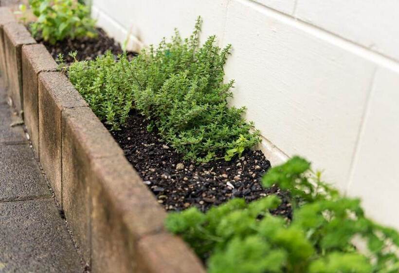 הוסטל Bay Of Islands Lodge