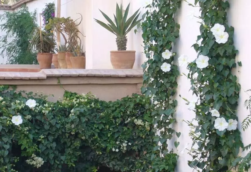 Aamiaismajoitus (B&B) Dar Zahia