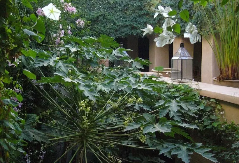 Aamiaismajoitus (B&B) Dar Zahia