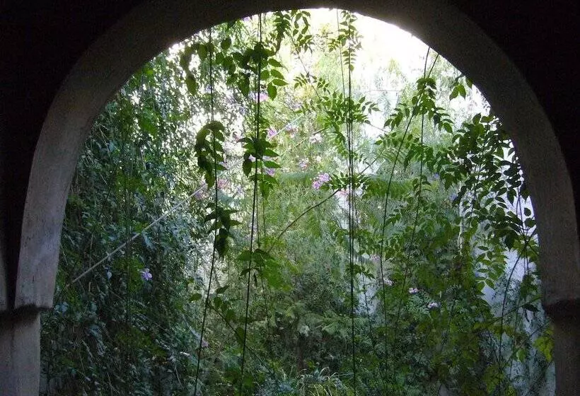 Aamiaismajoitus (B&B) Dar Zahia