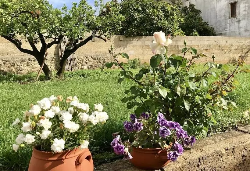 Corte Mercurio B&b