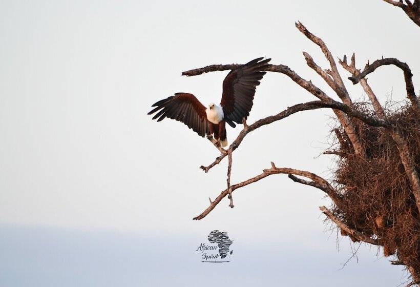 فندق African Spirit Game Lodge