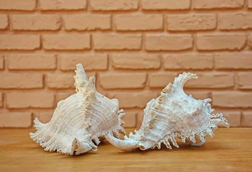 Hotelli Melheim Beach Kalpitiya