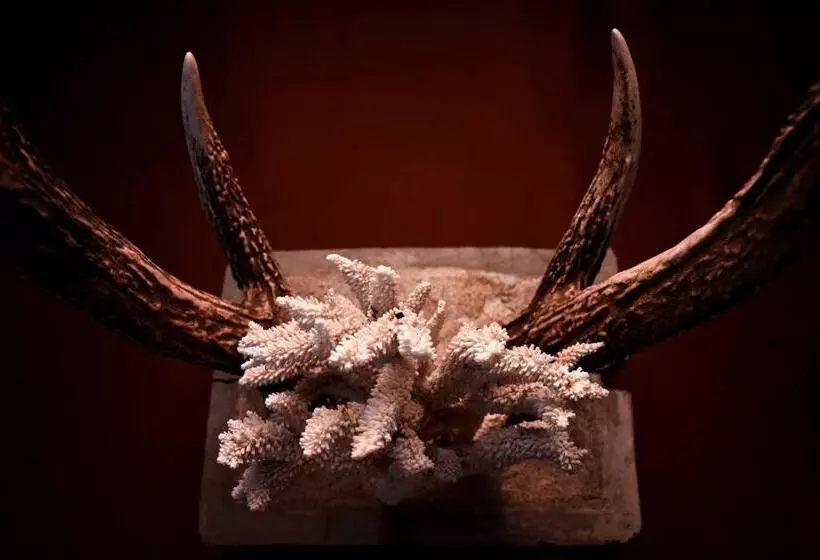 Hotelli Melheim Beach Kalpitiya