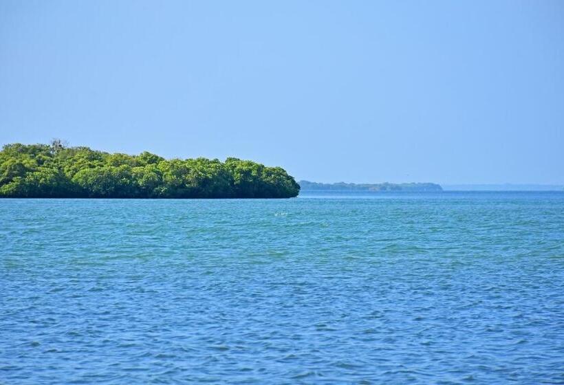 酒店 Melheim Beach Kalpitiya