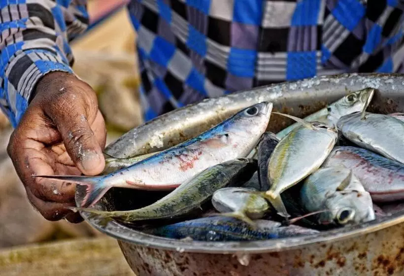 Hotelli Melheim Beach Kalpitiya