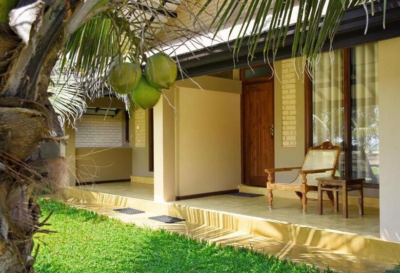 酒店 Melheim Beach Kalpitiya