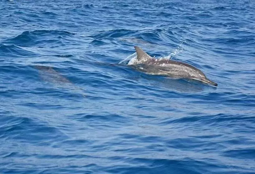 Hotelli Melheim Beach Kalpitiya