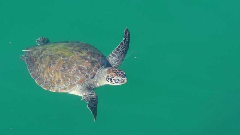 Hotel Pousada Cruzoé