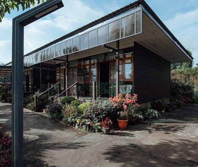 מוטל Chan Living