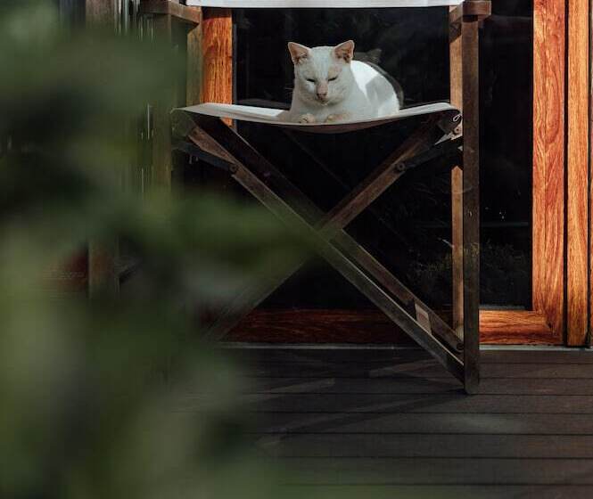 מוטל Chan Living