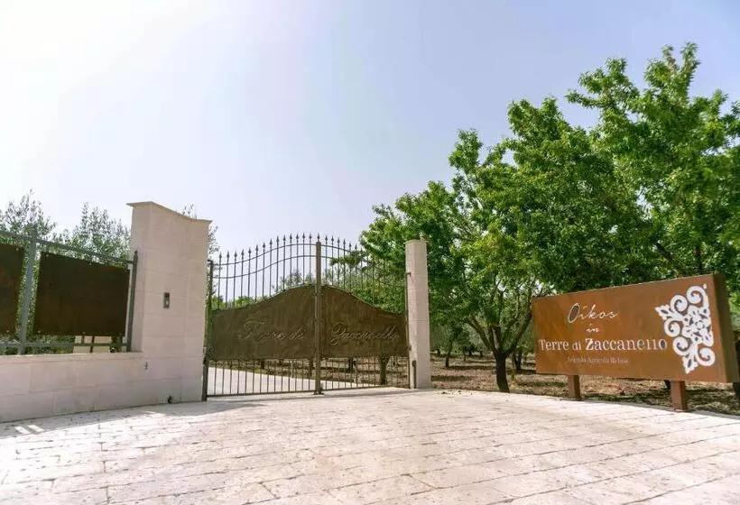 Oikos In Terre Di Zaccanello