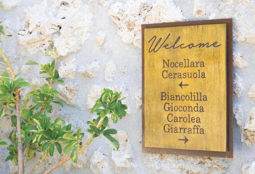 Oikos In Terre Di Zaccanello