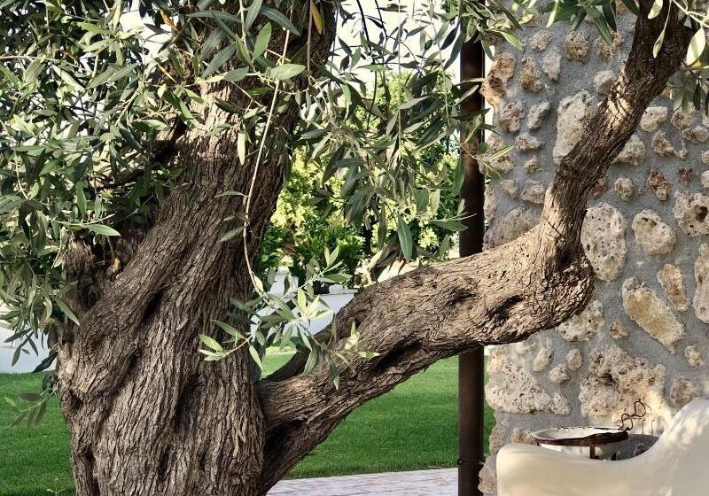 Oikos In Terre Di Zaccanello