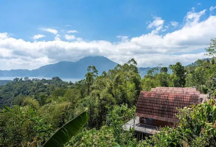 Majatalo Tiing Bali Guest House Kintamani
