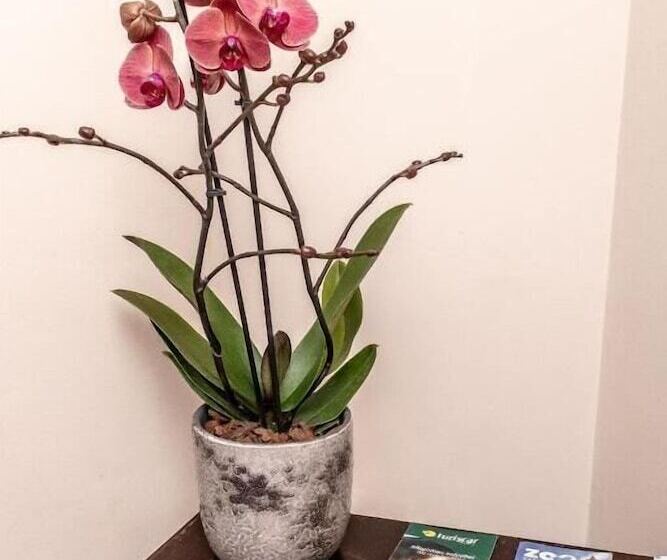 تختخواب و صبحانه Espinho Vintage Alojamento De Charme