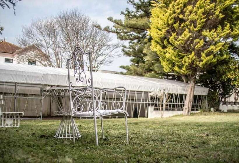 تختخواب و صبحانه Espinho Vintage Alojamento De Charme