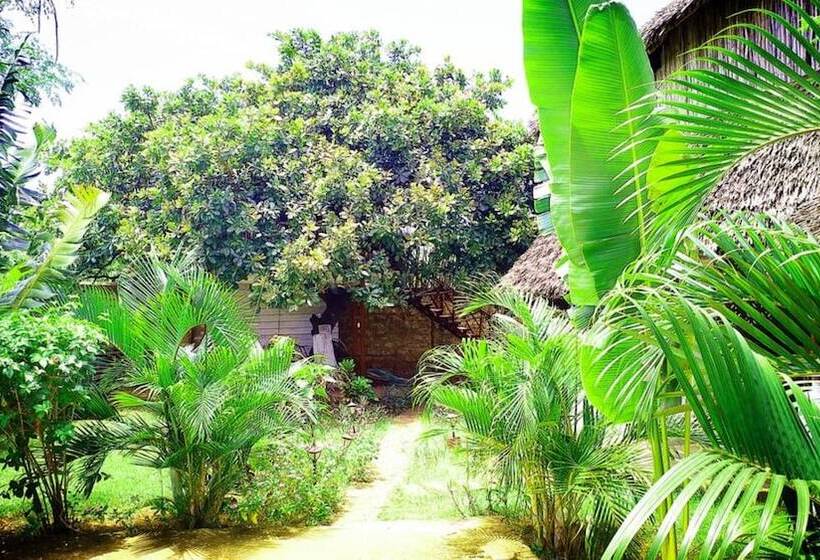 Diani Hostel