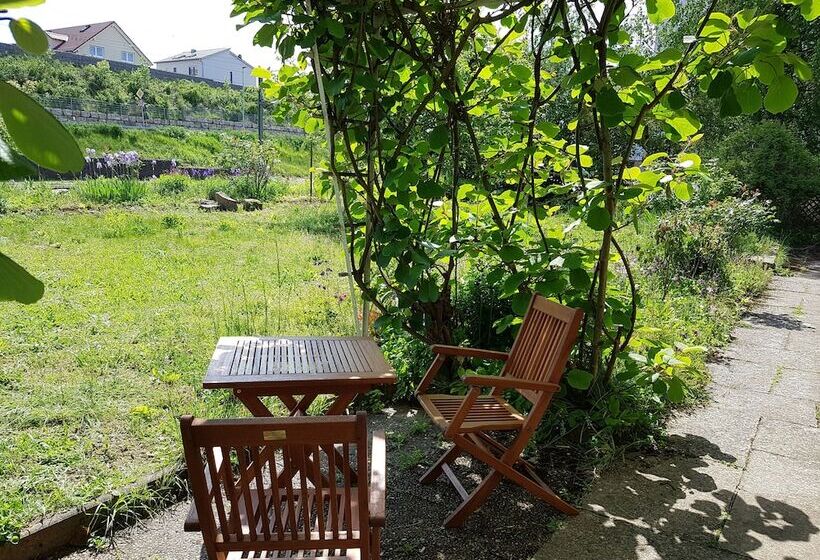 Пансион Gästehaus Lichdi