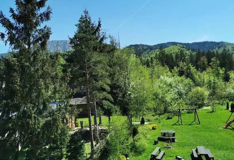 ペンション Willa Senator