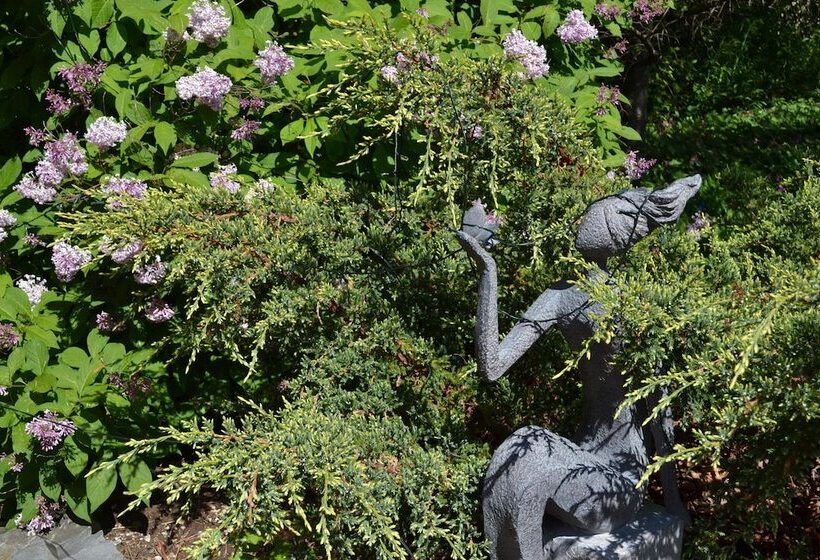 Red Mahone Bed & Breakfast