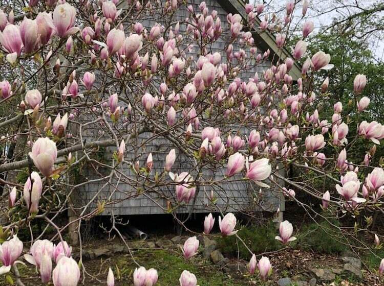 Red Mahone Bed & Breakfast