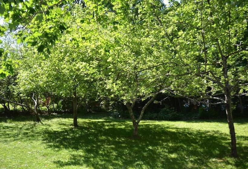 Red Mahone Bed & Breakfast