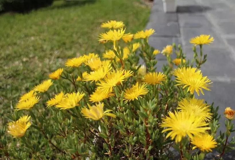 B&b Villa Branca Barreiros Al98139