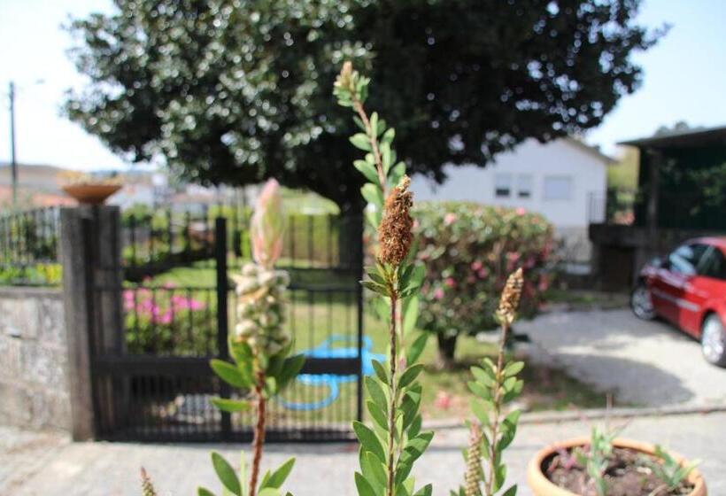 B&b Villa Branca Barreiros Al98139