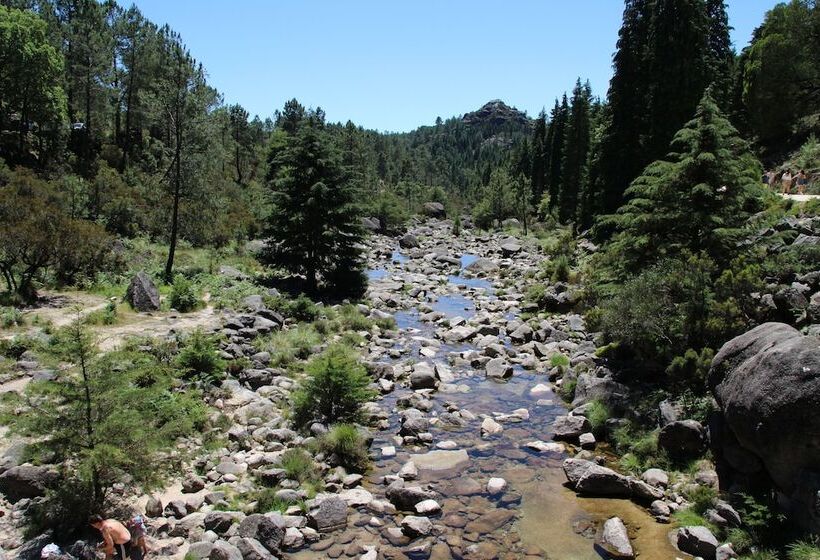 B&b Villa Branca Barreiros Al98139