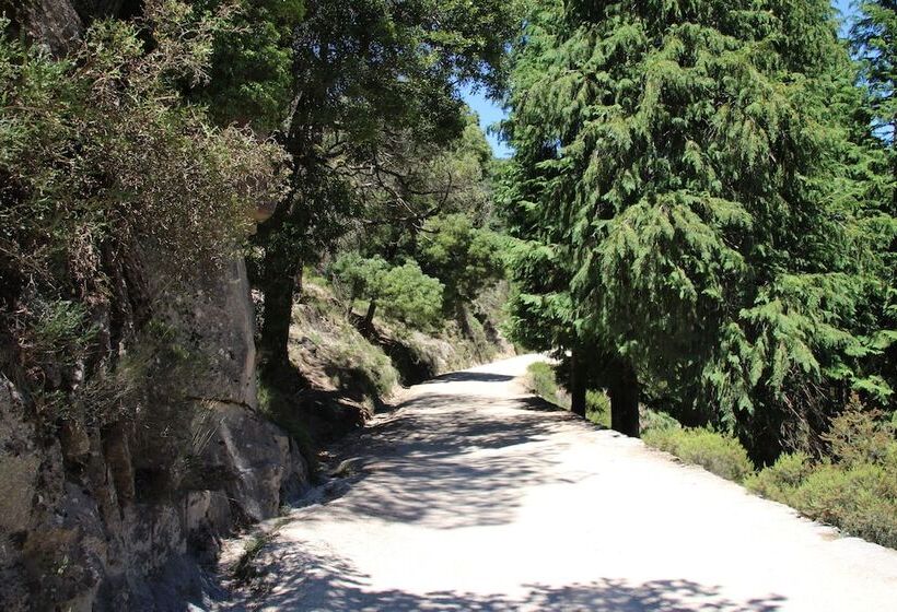 B&b Villa Branca Barreiros Al98139