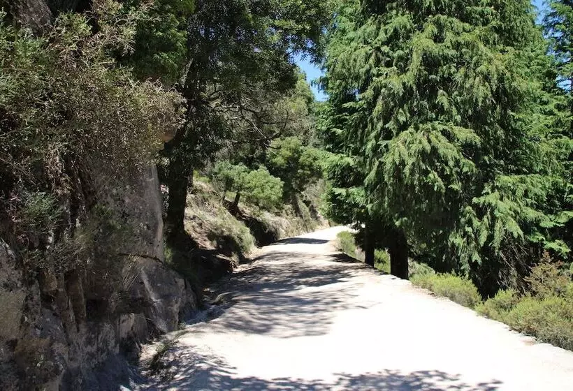 B&b Villa Branca Barreiros Al98139