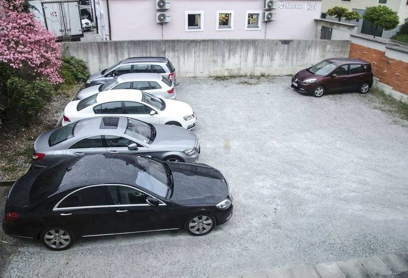 Family Boutique Hotel Trubarjev