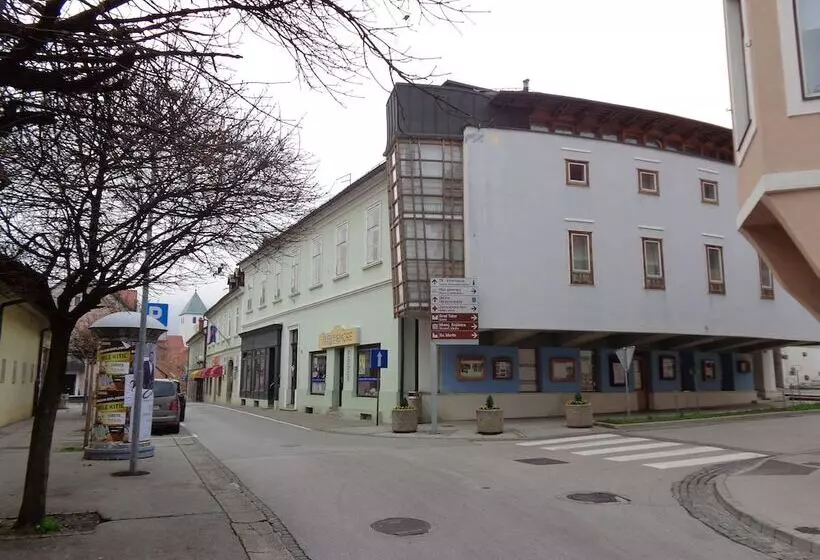 Family Boutique Hotel Trubarjev