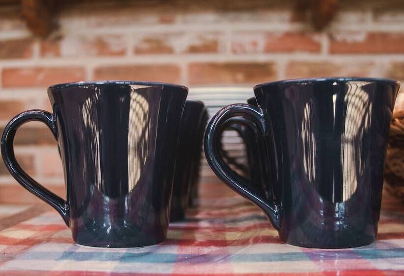 여관 Pousada Aranã