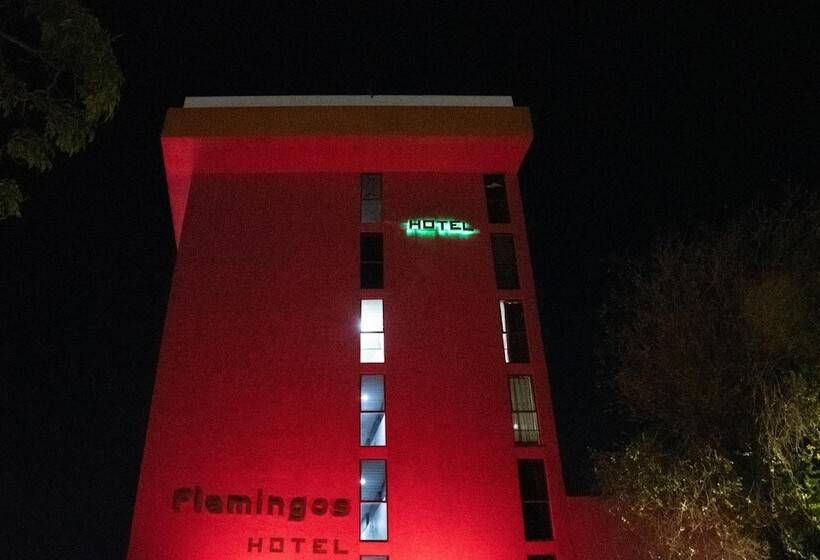 Szálloda Flamingos