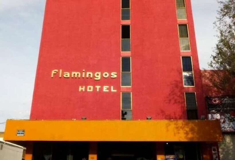 Szálloda Flamingos