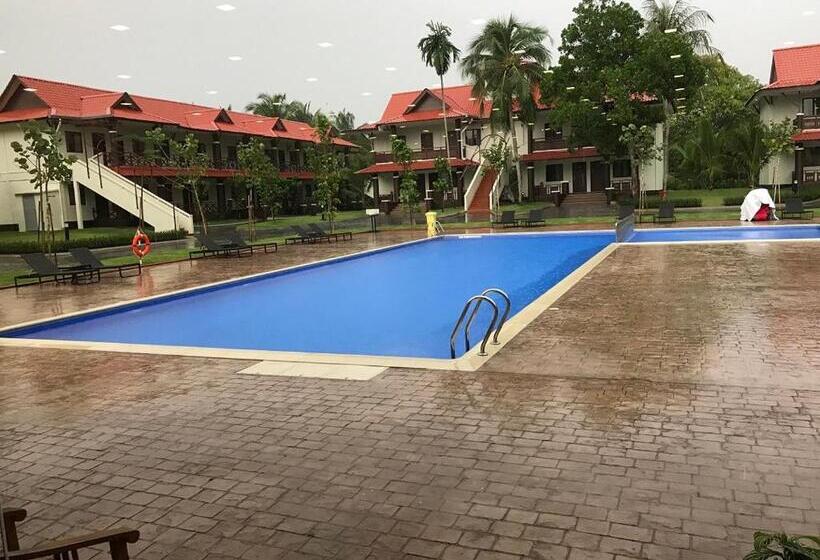 酒店 Lotus Seaview Beach Resort